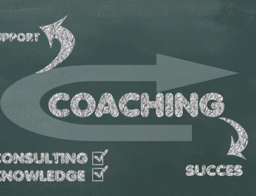 De idea a empresa: el ciclo vital en una incubadora de negocios