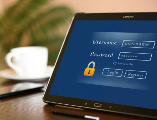 Nacer, crecer y escalar: el viaje de una startup en una incubadora